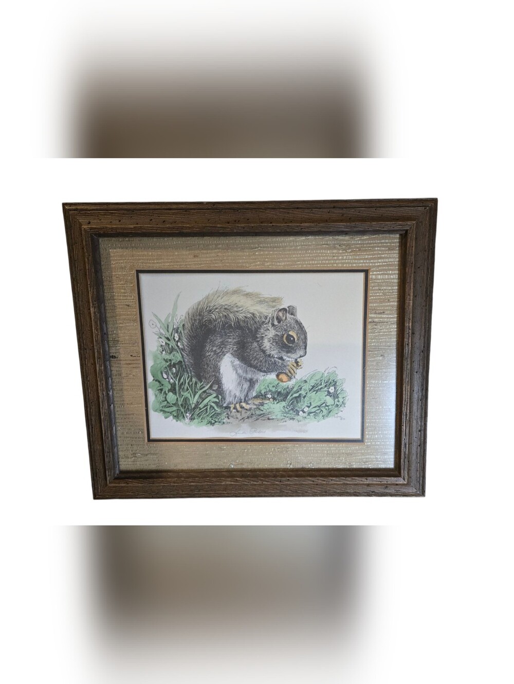 Vintage Linda Picken Wood Framed Squirrel Nature Art Signed By Artist  1975 OOAK